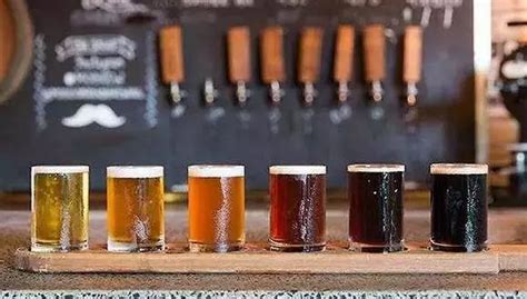 精酿啤酒市场分析 精酿啤酒行业分析报告 - 萨堡精酿啤酒官网
