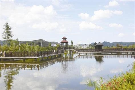 飞跃丛林，贵州毕节拱拢坪国家森林公园项目建成对外开放