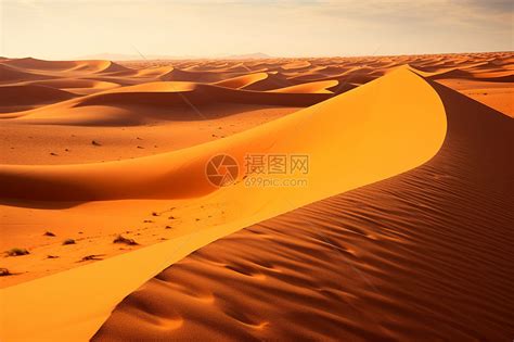 沙丘沙滩 的图像结果