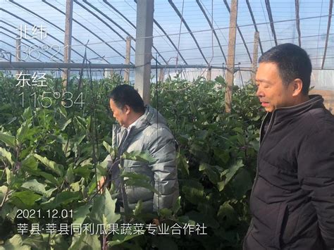 市农业农村发展服务中心赴莘县魏庄镇进行蔬菜种植技术指导服务