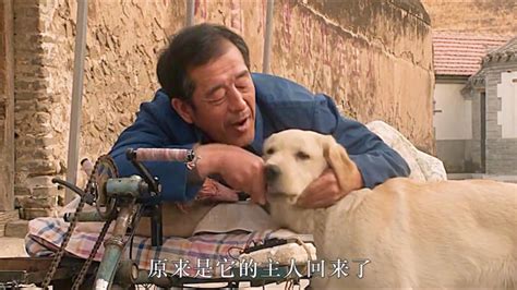 忠爱无言1，狗狗是人类最忠诚的伙伴，男人瘫痪几十年，狗狗陪伴左右，最幸福的事也莫过于此！_腾讯视频