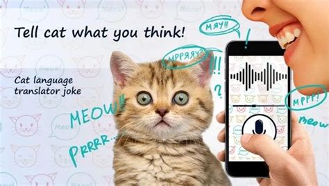 人声转化猫叫声的软件有哪些-能把人声变成猫声的软件-人声翻译成猫声软件app-浏览器家园