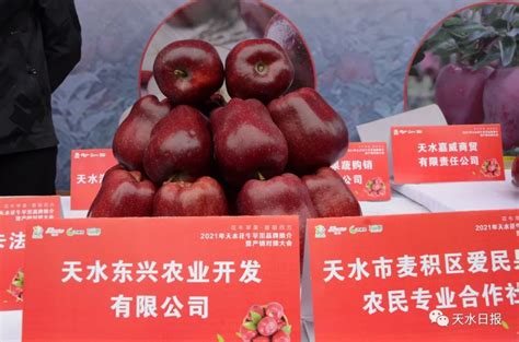 【甘肃日报】中国天水花牛苹果推介订货会举办(图)--天水在线