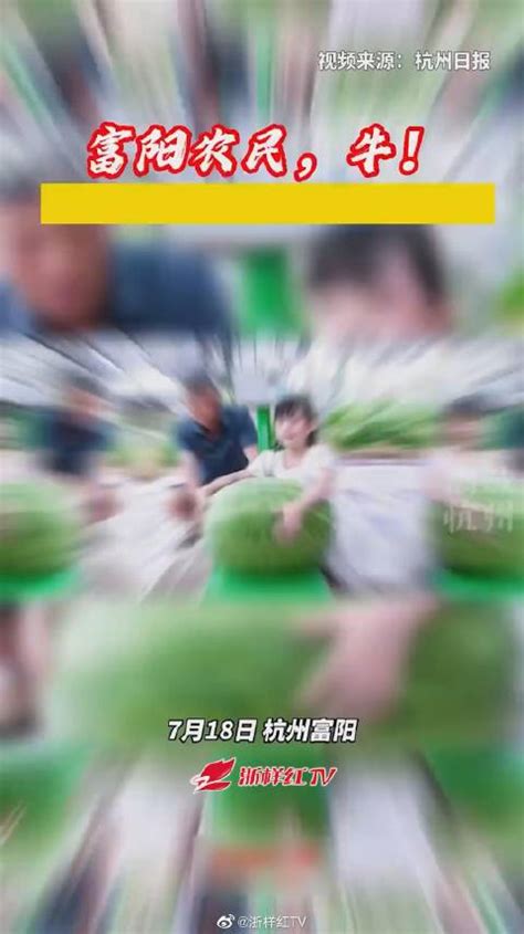 杭州村民种出32.1公斤西瓜破纪录 你爱吃西瓜吗？_手机新浪网