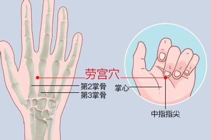 劳宫的准确位置图图片