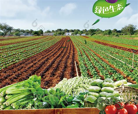 我国2018年农产品供给总体充足 市场运行态势总体平稳 - 农业要闻 - 第一农经网