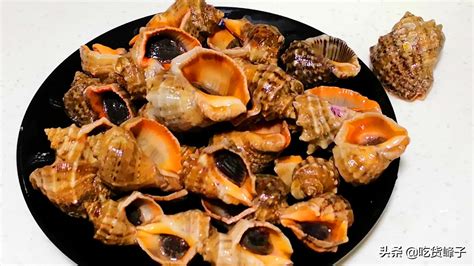 海螺的做法煮多长时间，海螺的吃法哪个部位不能吃？_学厨网