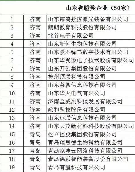 滨州这些企业上榜2018年度山东省瞪羚企业公示名单！ _滨州要闻_滨州_齐鲁网