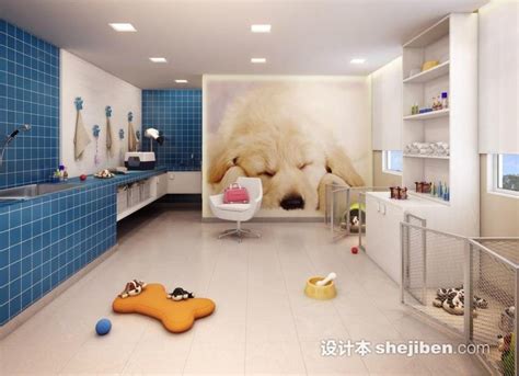 宠物美容广告海报图片_商业促销设计图片_11张设计图片_红动中国
