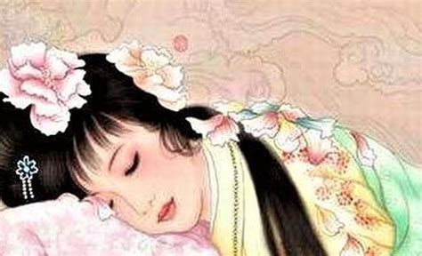 《红楼梦》中史湘云的花语，香梦海棠只恐夜深花睡去