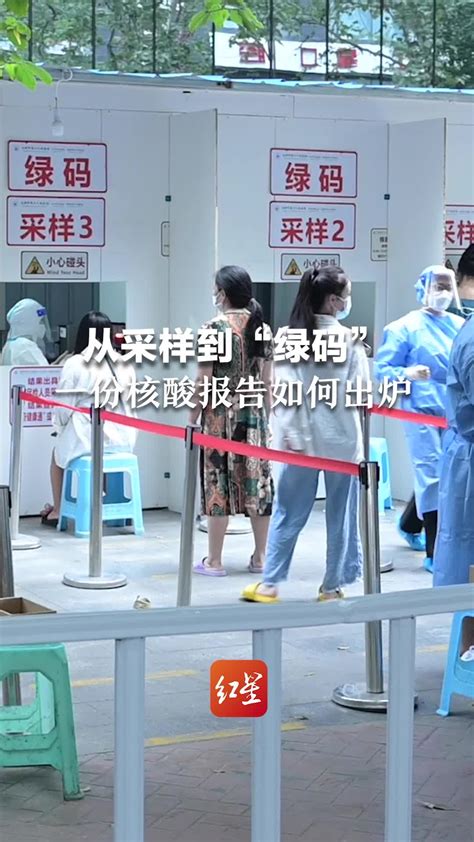 农工党员纪玲：绿码背后的北京大学深圳医院核酸检测方舱实验室