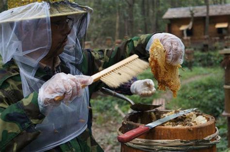 网上为什么难买到真土蜂蜜？