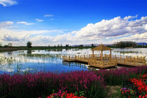 栏目 - 甘州区黑河湿地国家级自然保护区 - 中国自然保护区