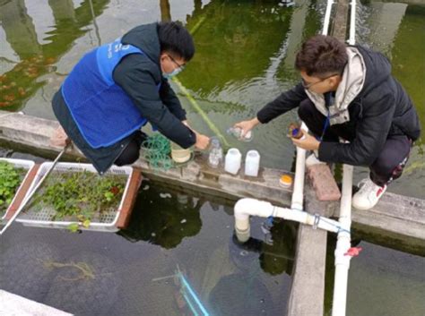 技术服务金鱼企业，促进养殖技术提升-中国福建三农网