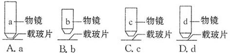 光学显微镜放大倍数是指长度或者宽度,还是指长度和宽度?