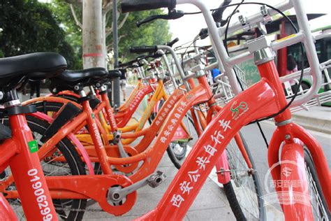邀您游古城！西安公共自行车假期免费骑 - 西部网（陕西新闻网）