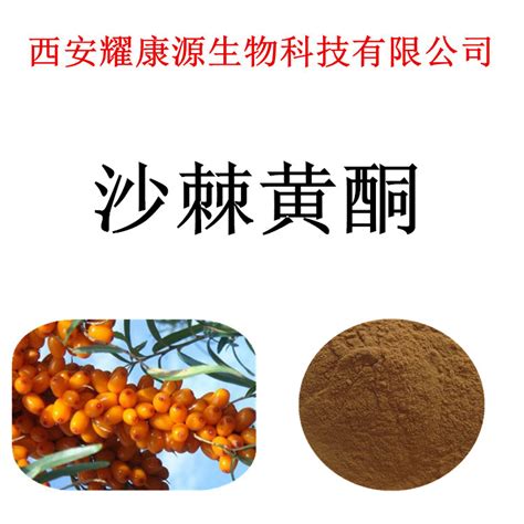 沙棘黄酮 沙棘粉 多规格 现货供应 陕西咸阳 斯诺特-食品商务网