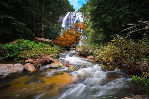 森林深处的瀑布适合自然背景高清图片下载-正版图片507419670-摄图网