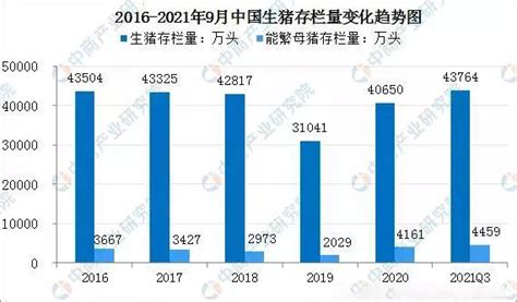 浅析2021年广东饲料产量概况 - 知乎