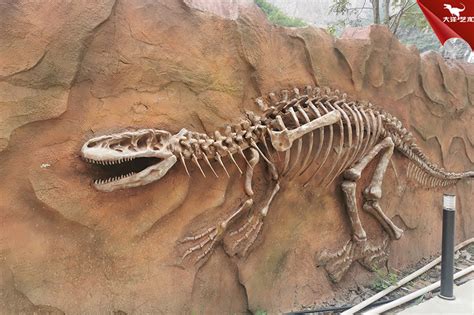 云南富源地区发现三叠纪海洋主龙类化石——梦境滨鳄 - 神秘的地球 科学|自然|地理|探索