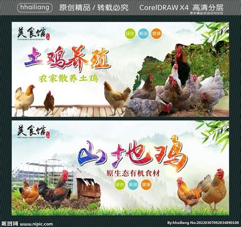 山地鸡 土鸡养殖设计图__广告设计_广告设计_设计图库_昵图网nipic.com