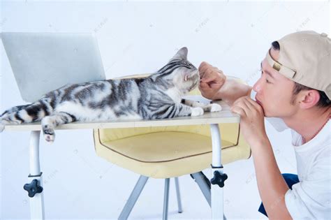 休闲办公白天帅哥与猫办公室给猫喂食摄影图配图高清摄影大图-千库网