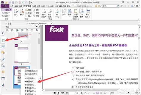迅捷pdf编辑器如何删除整个页面-迅捷pdf编辑器删除整个页面的方法 - 极光下载站