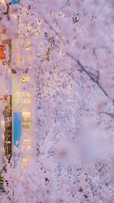 横屏无图背景图片