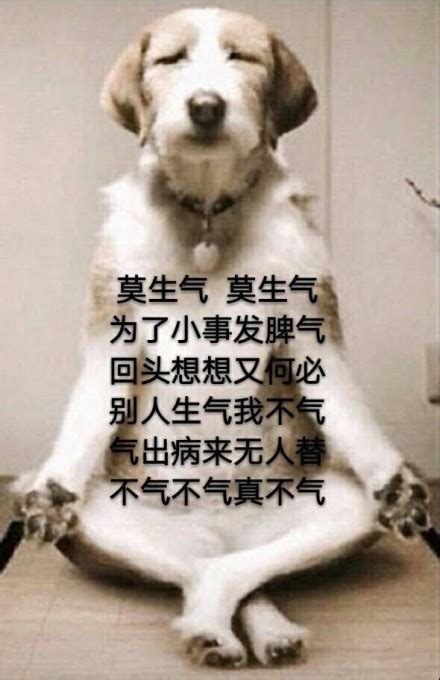 好了_[标签:标题1]