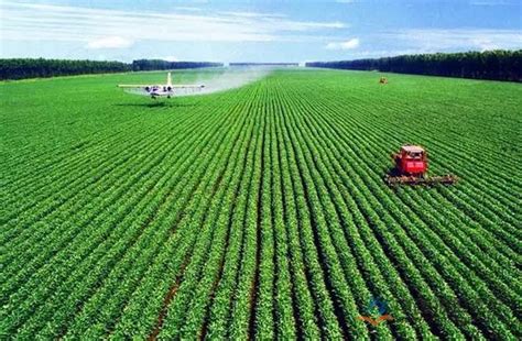 科学网—中国农业现代化发展核心问题之一：地租 - 杜焱强的博文
