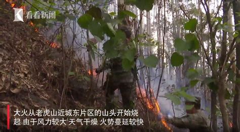 广西河池金城江区山火已扑灭 过火面积约180亩