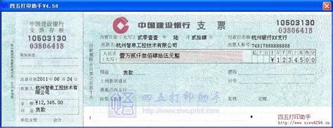 中国建设银行支票2011打印模板 >> 免费中国建设银行支票2011打印软件 >>