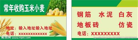 收购玉米小麦名片设计图__广告设计_广告设计_设计图库_昵图网nipic.com