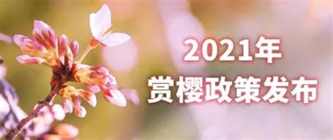 2021年武大樱花怎么预约_旅泊网