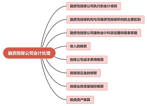 江西省融资担保集团有限责任公司-非融资担保
