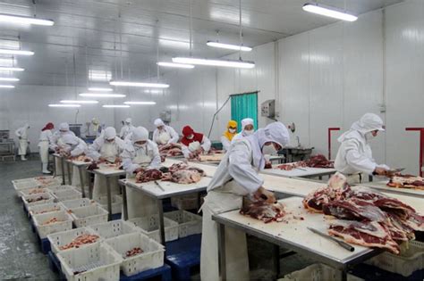 进口冷冻肉类产品申报指南-冷冻肉进口外贸代理|上海外贸进出口公司