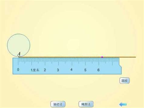9.测量圆的周长