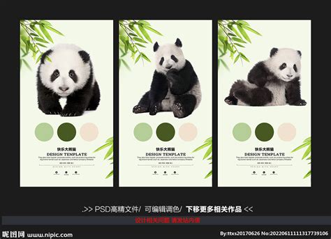 大熊猫设计图__海报设计_广告设计_设计图库_昵图网nipic.com