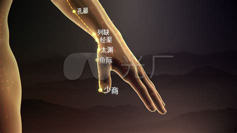 手太阴肺经经络图图片 手太阴肺经经络图图片