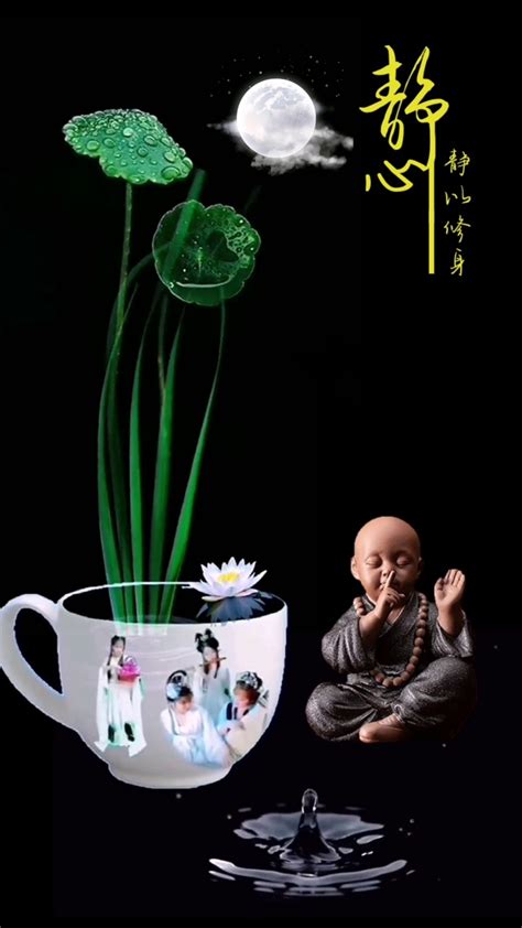 禅意&#183;静心&#183;渡图片