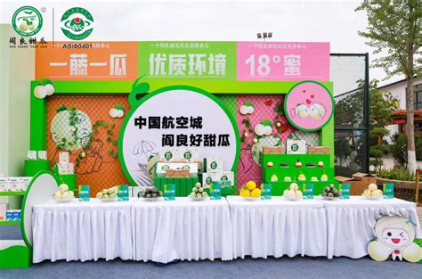 西安阎良举办2023年阎良甜瓜产业文化节 - 西部网（陕西新闻网）