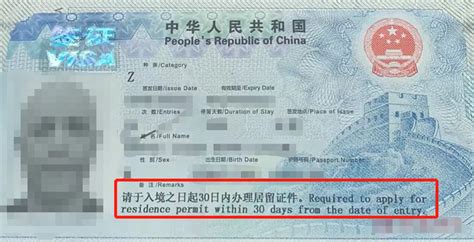 外国人在中国永久居留申请表_word文档在线阅读与下载_免费文档
