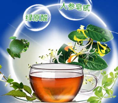天福茗茶 | 白茶网