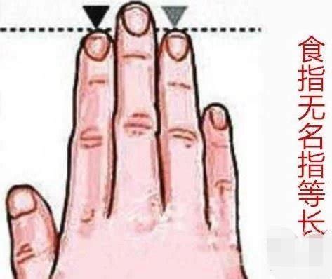 无名指是哪个手指图片【相关词_无名指是哪个手指】 - 随意优惠券