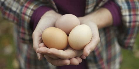2021年10月14日全国鸡蛋价格整体稳定_青岛中仁动物药品有限公司