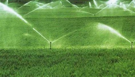 生菜田间自动灌溉系统高清图片下载-正版图片600190626-摄图网