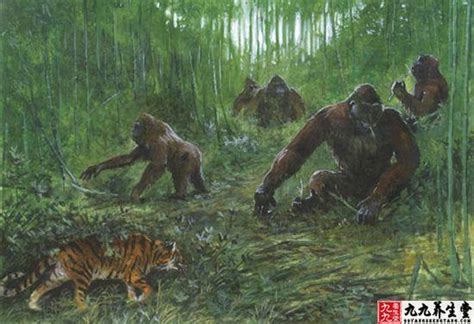 上古生物都长得好奇特 已灭绝的14种远古巨兽(3)_社会万象_99养生堂