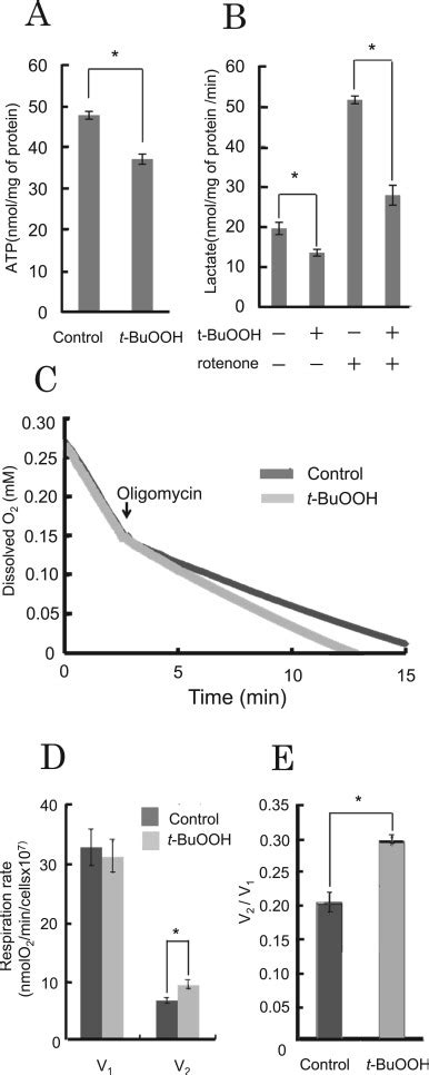 t-BuOOH induces necrosis in NIH3T3 and HaCaT cells. a, b Cell viability ...