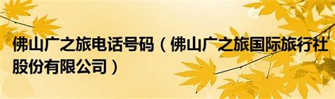 【副会长】中国国旅（广东）国际旅行社股份有限公司-广东省旅游协会官方网站