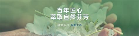 美美荷莲花如何养植，莲花养植种要注意些什么？-绿宝园林网